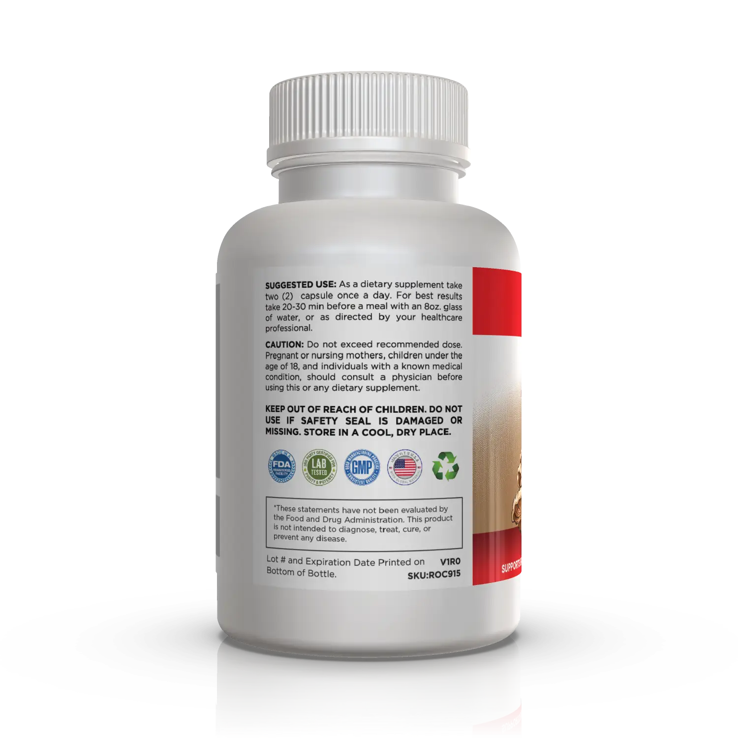 Mushroom Blend – Daily Wellness Support - Image 3