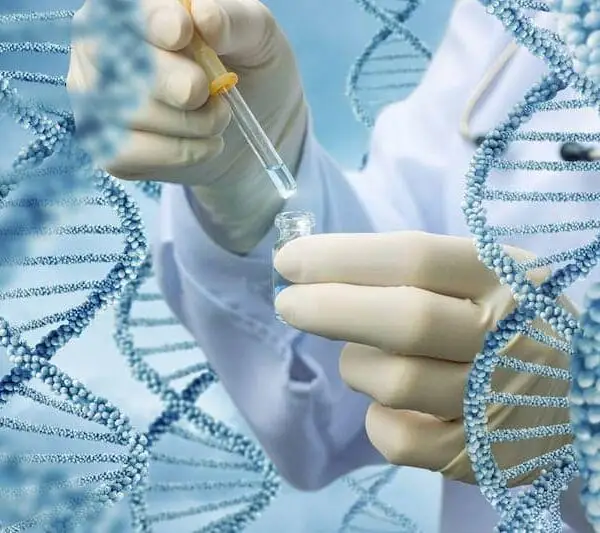 What is DNA Testing for…