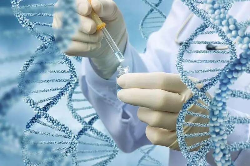What is DNA Testing for Health? A Complete Beginner’s Guide